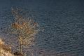2018_01_27_Lac de Panneciere (0028)